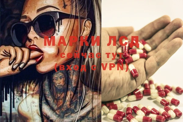ГАЛЛЮЦИНОГЕННЫЕ ГРИБЫ Мегион