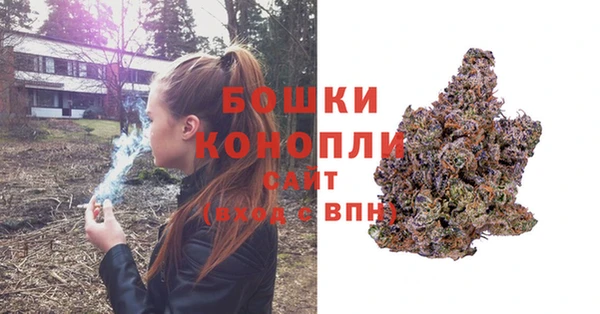 ГАЛЛЮЦИНОГЕННЫЕ ГРИБЫ Мегион
